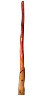 Tristan O'Meara Didgeridoo (TM437)